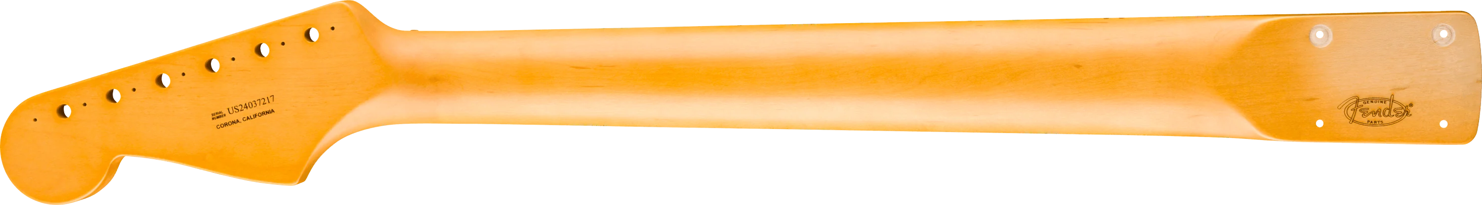 Limited Edition American Vintage II Modified 1961 Stratocaster® Neck, 21 Narrow Tall Frets, 9.5" Radius, Rosewood - Image 2