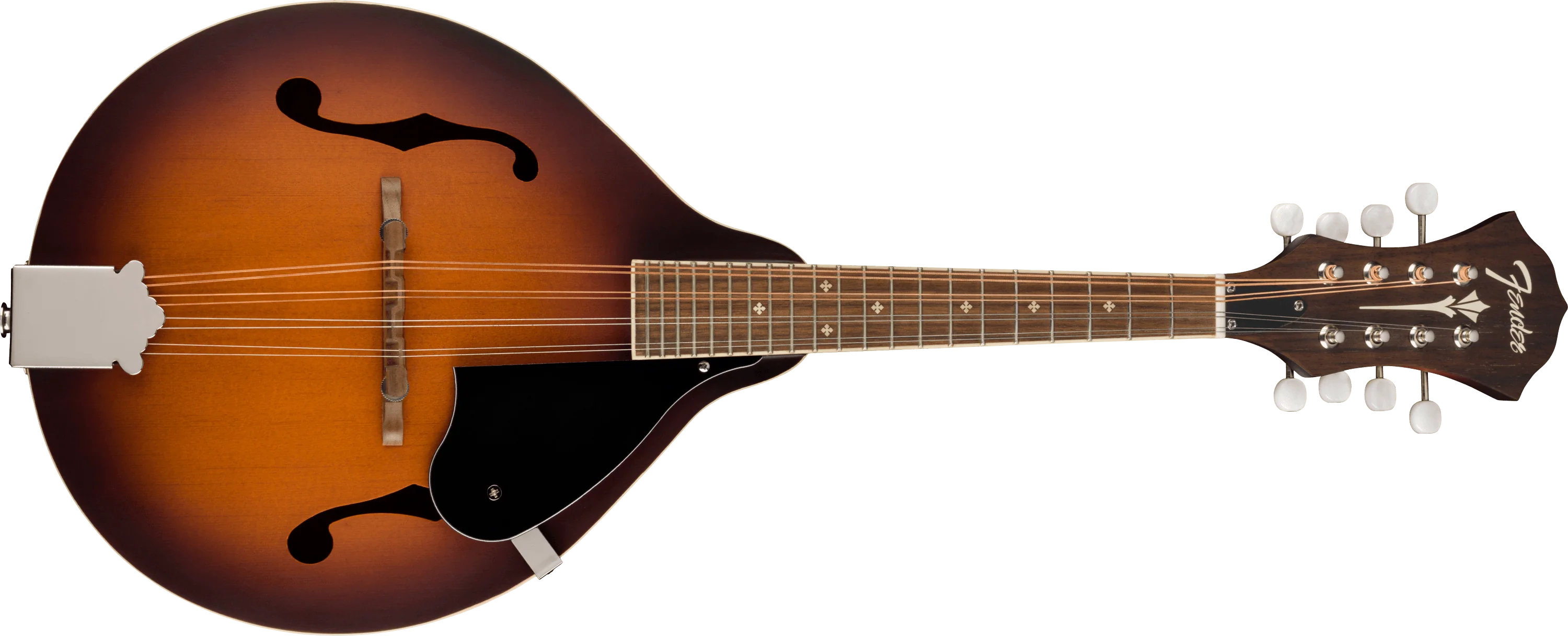 PM-180E Mandolin
